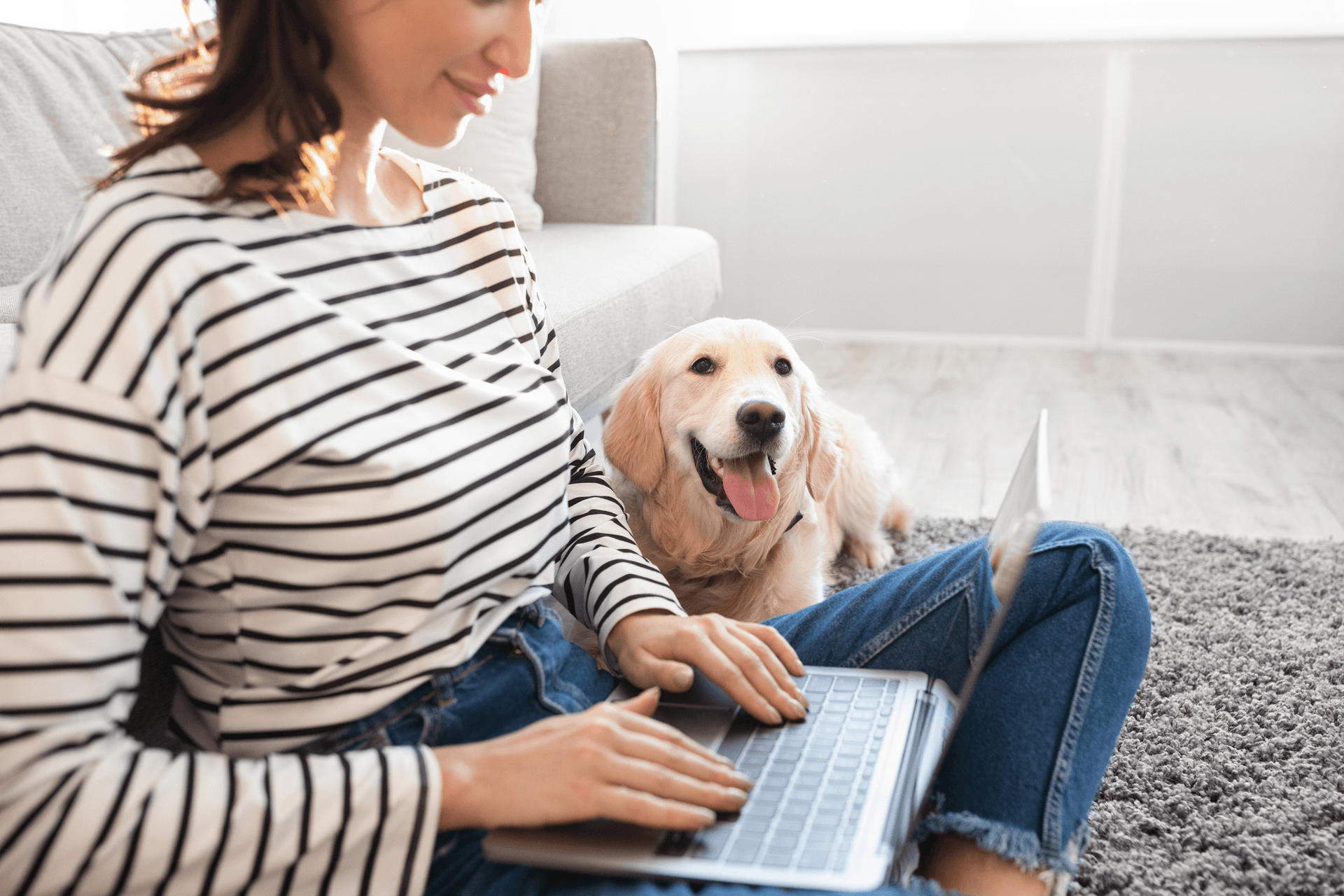 Remote working with dog